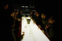 Valleys of Vino Tour, Hobart