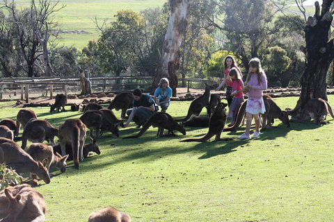 The Port Arthur MEGA Day Trip From Hobart - Hotel WA 5