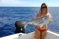 1/2 Day 5 Hour Offshore Fishing Charter, Noosa