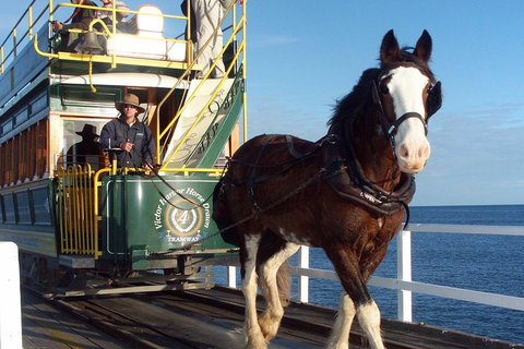 Full-Day Tour In South Australia Highlights - Hotel WA 1