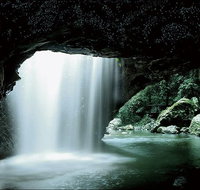 Natural Bridge Glow Worm Night Tour from Gold Coast - Hotel WA