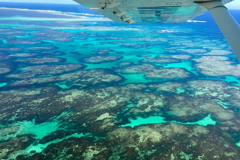 Shipwreck Special Full Day Tour Of The Abrolhos Islands - Hotel WA 1