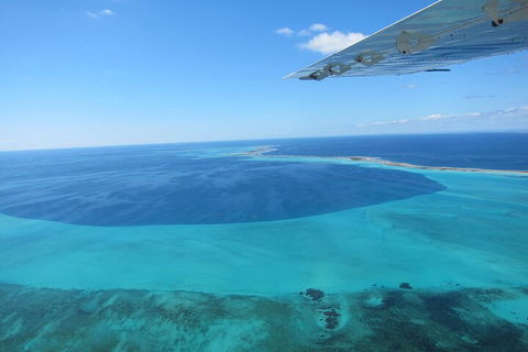 Shipwreck Special Full Day Tour Of The Abrolhos Islands - Hotel WA 2