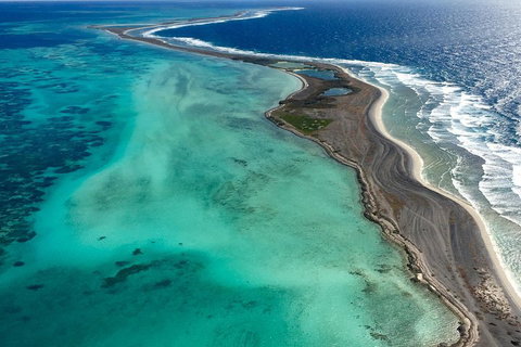 Shipwreck Special Full Day Tour Of The Abrolhos Islands - Hotel WA 3