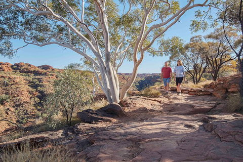 3-Day Tour From Uluru (Ayers Rock) To Alice Springs Via Kings Canyon - Hotel WA 1