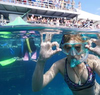 Great Barrier Reef Day Cruise from Cairns Including Snorkeling and Marine Biologist Presentation - Hotel WA