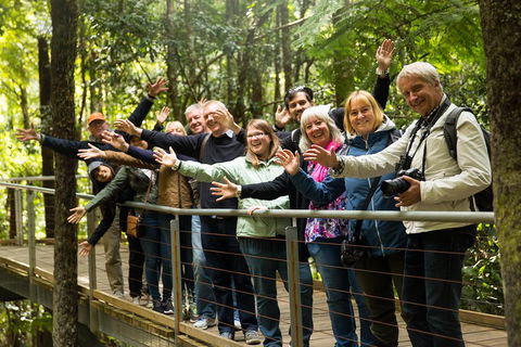 All Inclusive Blue Mountains Small-Group Day Trip From Sydney - Hotel WA 5