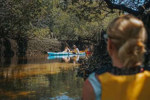 Kayak Tour In Adelaide Dolphin Sanctuary - Hotel WA 0