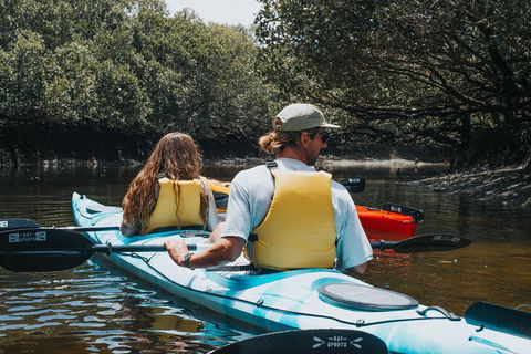 Kayak Tour In Adelaide Dolphin Sanctuary - Hotel WA 2
