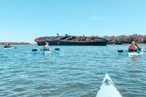 Kayak Tour In Adelaide Dolphin Sanctuary - Hotel WA 3
