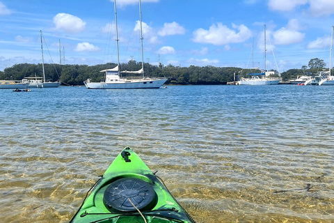 Kayak Tour In Adelaide Dolphin Sanctuary - Hotel WA 4