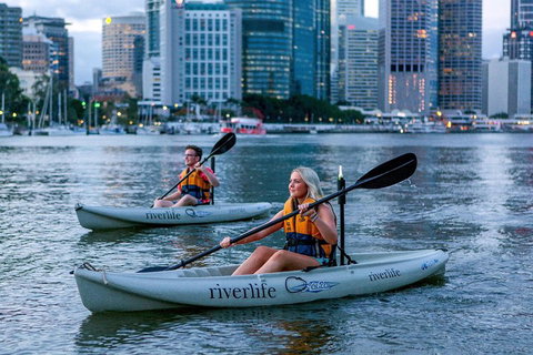 Brisbane Kayak Tour - Hotel WA 3