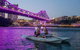 Brisbane Kayak Tour - thumb 4