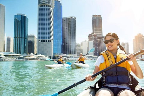 Brisbane Kayak Tour - Hotel WA 5