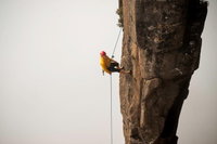 100 Metre Abseil Mount Wellington Hobart