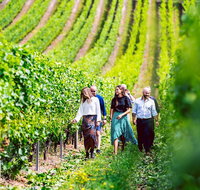 Tasmanian Wine Tour - Hotel WA