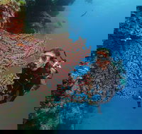 Silversonic Outer Great Barrier Reef Dive and Snorkel Cruise from Port Douglas - Hotel WA