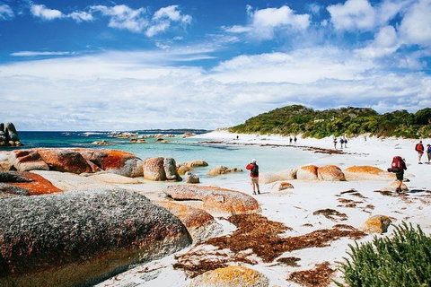 Wineglass Bay Private Charter Service - Hotel WA 3