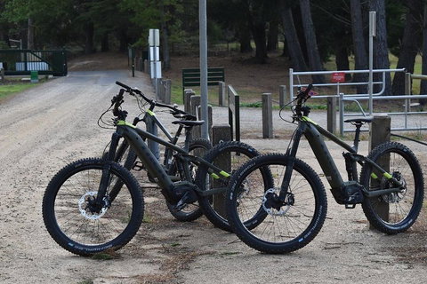 Fully Guided E-Mountain Bike Tour On The Beautiful Mornington Peninsula. - Hotel WA 2