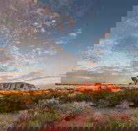 Uluru Kata Tjuta and Kings Canyon Camping Safari from Alice Springs - Hotel WA