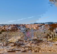 The Amazing Kings Canyon 4-Hours Walking Tour and Hike - Hotel WA