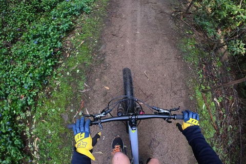 Explore Downhill Mountain In 3-Hour Bike Tour From Hobart - Hotel WA 2