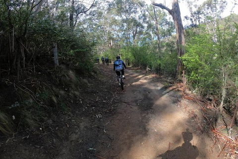 Explore Downhill Mountain In 3-Hour Bike Tour From Hobart - Hotel WA 3