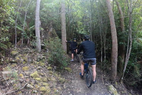 Explore Downhill Mountain In 3-Hour Bike Tour From Hobart - Hotel WA 4