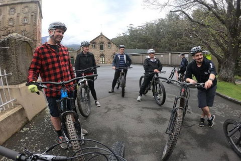 Explore Downhill Mountain In 3-Hour Bike Tour From Hobart - Hotel WA 5