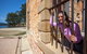 Port Arthur And Tassie Devils Active Day Tour From Hobart - thumb 1