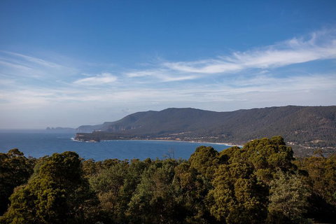 Port Arthur And Tassie Devils Active Day Tour From Hobart - Hotel WA 5