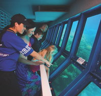Great Barrier Reef Adventure from Cairns - Hotel WA
