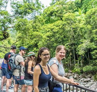 Cape Tribulation Mossman Gorge and Daintree Rainforest Day Trip from Cairns or Port Douglas - Hotel WA