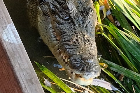 Litchfield Park Adventures And Jumping Crocodile Cruise + Butterfly Farm - Hotel WA 1