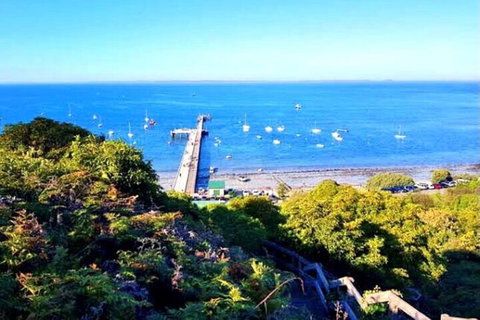 Mornington Peninsula Sightseeing Tour For 2-6 Guests. - Hotel WA 1