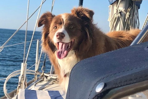 Mornington Peninsula Sightseeing Tour For 2-6 Guests. - Hotel WA 2