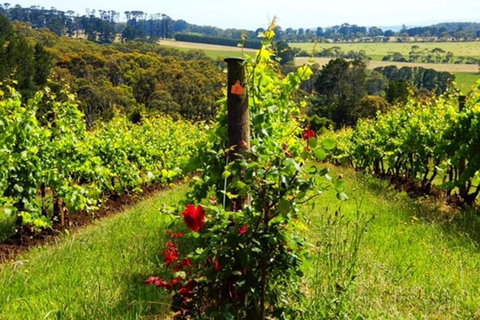 Mornington Peninsula Sightseeing Tour For 2-6 Guests. - Hotel WA 3