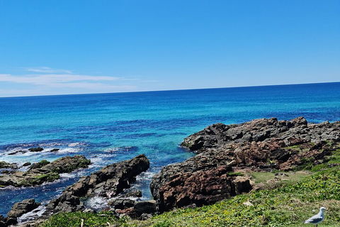Private Custom Byron Bay Day Out - Hotel WA 4