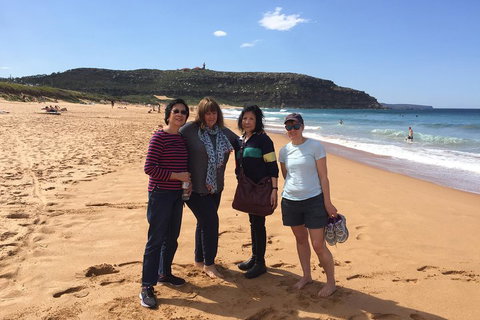 Small-Group Sydney's Northern Beaches And Ku-ring-gai National Park Bus Tour - Hotel WA 2