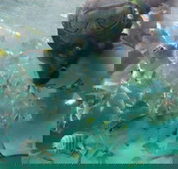 2-Day Moreton Island 4WD Camping Tour from Brisbane - Hotel WA