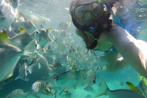 2-Day Moreton Island 4WD Camping Tour From Brisbane - Hotel WA 0