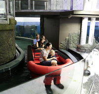 Sydney Attractions Pass SEA LIFE Aquarium Sydney Tower Eye WILD LIFE Zoo and Madame Tussauds - Hotel WA
