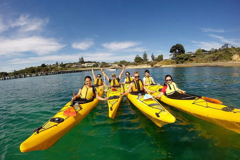 Mornington Peninsula Kayak Coastline Tour Of Dolphin Sanctuary - Hotel WA 2
