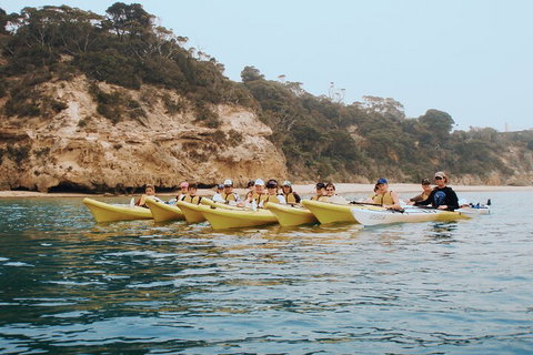 Mornington Peninsula Kayak Coastline Tour Of Dolphin Sanctuary - Hotel WA 4