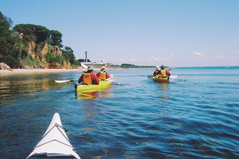 Mornington Peninsula Kayak Coastline Tour Of Dolphin Sanctuary - Hotel WA 5