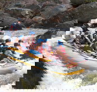 Barron River Half-Day White Water Rafting from Cairns - Hotel WA