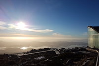 Mount Wellington Descent Cycling Tour departs Hobart