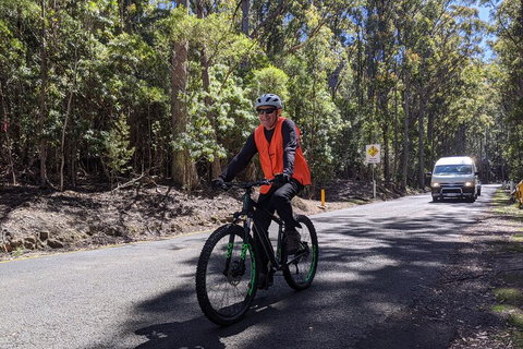 Mount Wellington Descent Cycling Tour Departs Hobart - Hotel WA 3