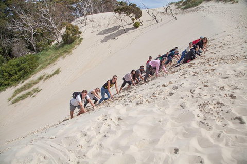 6-Day Tasmanian Explorer Adventure Tour From Hobart - Hotel WA 2