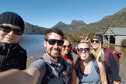 6-Day Tasmanian Explorer Adventure Tour From Hobart - Hotel WA 5